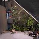 화원우체국 이미지