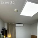 스테이 코코 이미지