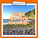 안암동 로터리(하나은행 앞) | 부산_홍도_1박2일 #흑산도 / 부산출발홍도 여행사