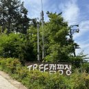 영흥솔 민박 | 선재도 트리캠핑장 , 명당추천 그리고 C8 사이트후기 !