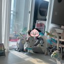 달성군화원읍보건지소 | 대구산후도우미_달성군 화원읍 산모님의 이용후기 입니다.