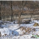 싸릿골둥지 이미지