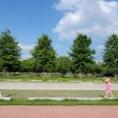 낙동강체육공원 족구장 이미지