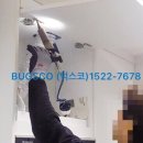 벅스코(BUGSCO)