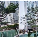 내포조경관리 이미지