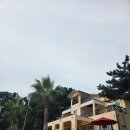 남해군보건소 | 해파리 없는 바다 천연 파도풀 바지락 나오는 해수욕장 남해 송정솔바람 해수욕장