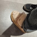 털로덮인친구들(동탄호수공원점) | 롯데아울렛 기흥점 주말 구경 후기 + 일기