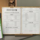 [청담역미용실 라르크앙시엘헤어 김이나실장] 디톡스스파 받은 후기