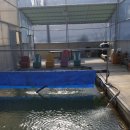 배시네낚시터 이미지