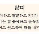 소풍여행사주 이미지
