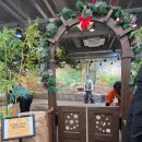 승연농장 | 인천 아이랑 가볼만한곳/인천 실내동물원 동물먹이체험/쥬벅스