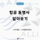 세계항공여행사 이미지