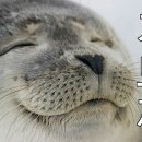 가자학원