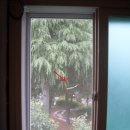 육구공구 이미지