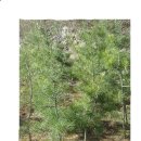 백송농장 이미지