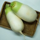 무 이미지