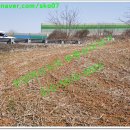 장안태양광발전소 이미지