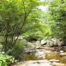 십이폭포민박 이미지