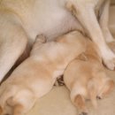 아이통곡모유육아상담실 이미지