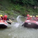 비래동 산림조합 이미지