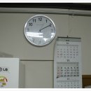 닭날선보는날