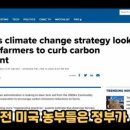 머리천국 이미지