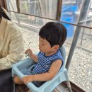 (비젤어린이집)한마음어린이집 | 광명 아기랑 캠핑식당! 한마음정육식당 내돈내산 팩트 후기 (ft. 놀이방 현실)