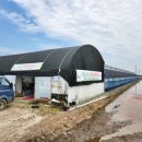 영만농장 이미지