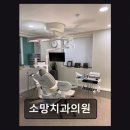 어울림치과의원 | [강남 임플란트 치과/추천/후기] 소망치과의원 서울대 출신 의료진의 협진 시스템