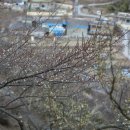 우산농원