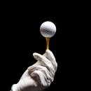 더비치라데나 이미지