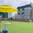 김포 애견호텔 애견유치원 꼬똥이네 이미지