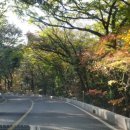 안덕계곡 앞 4 이미지