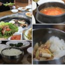 철원생고기 Daum카페