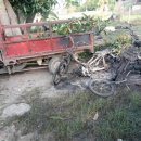 미얀마마을 이미지