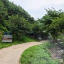 세림농장 네이버블로그