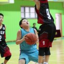 도림초등학교 이미지