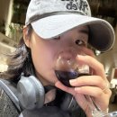 룩소르 동안서안 열기구 펠루카 등등 다 함
