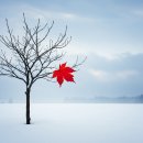 어차피 겨울은 밀려나겠지!(Winter Will Be Pushed Away Anyway) 이미지