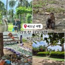 효성동초등학교 앞 교통섬 | 나트랑 원숭이섬 자유여행 후기 - 투어보다 저렴하게 가는법, 입장료, 교통까지 한방정리