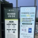 장한나라 | 마곡 서울식물원 다정한균형 전시 후기, 입장료부터 동선까지