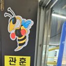 팀맥 스타짐 이미지