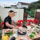 다포아라 이미지