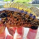 산골 독채 민박 이미지