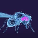 뉴런테크 이미지