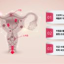 세중한의원 - 계양구 양지말2길 10-1 | 세중한의원