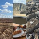 내면농협 방내지점 | 3박 4일 겨울제주여행 3일차 코스 : 제주레일바이크, 섭지코지, 프릳츠 제주 성산점, 광어다표선