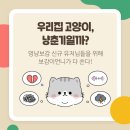 춘기의집 이미지