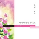 박은희 이미지