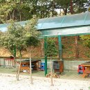 깔끄막 희컨집 이미지